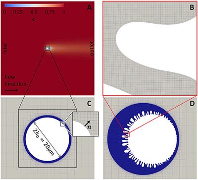 Pore-Scale Modeling of Mineral Growth and Nucleation in Reactive Flow